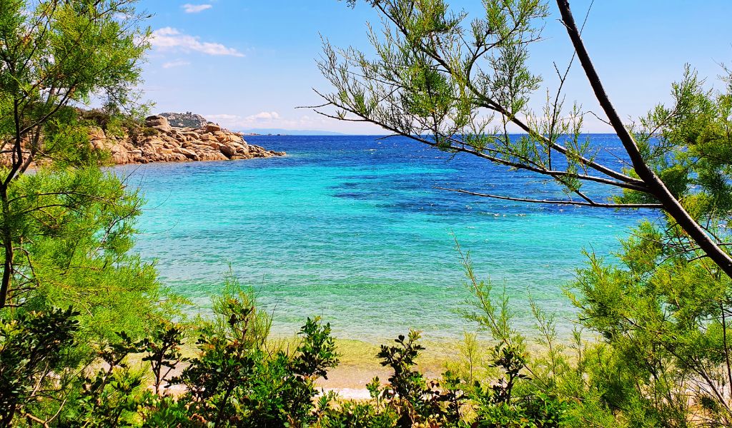 Unraveling Corsica: The Isle of Beauty