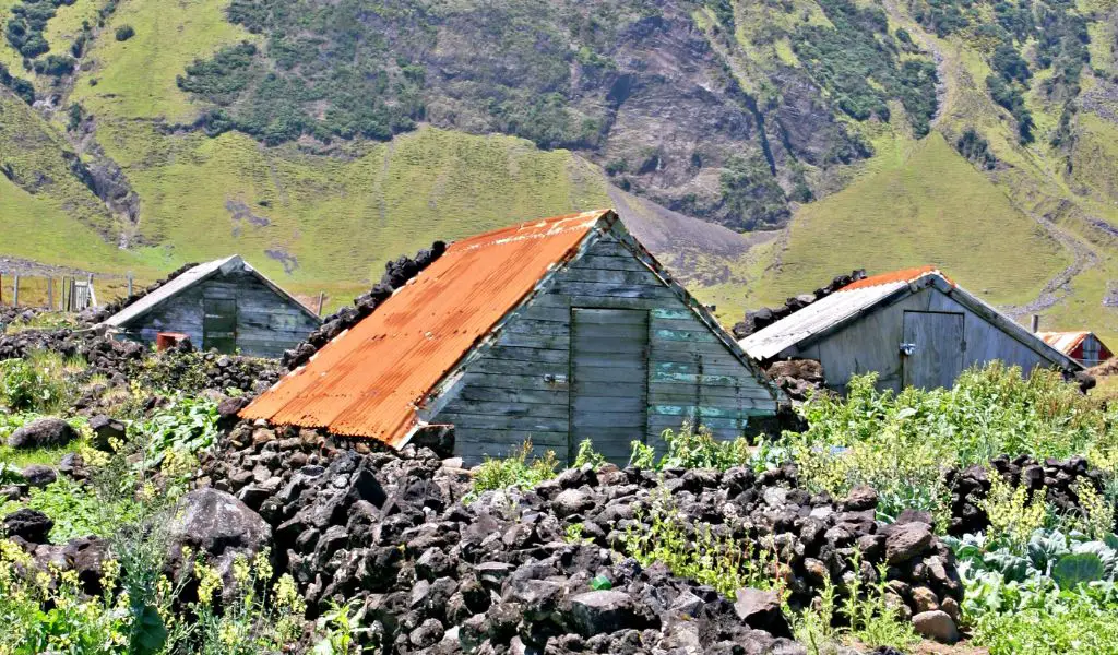 Discover Tristan da Cunha: The World's Most Remote Island