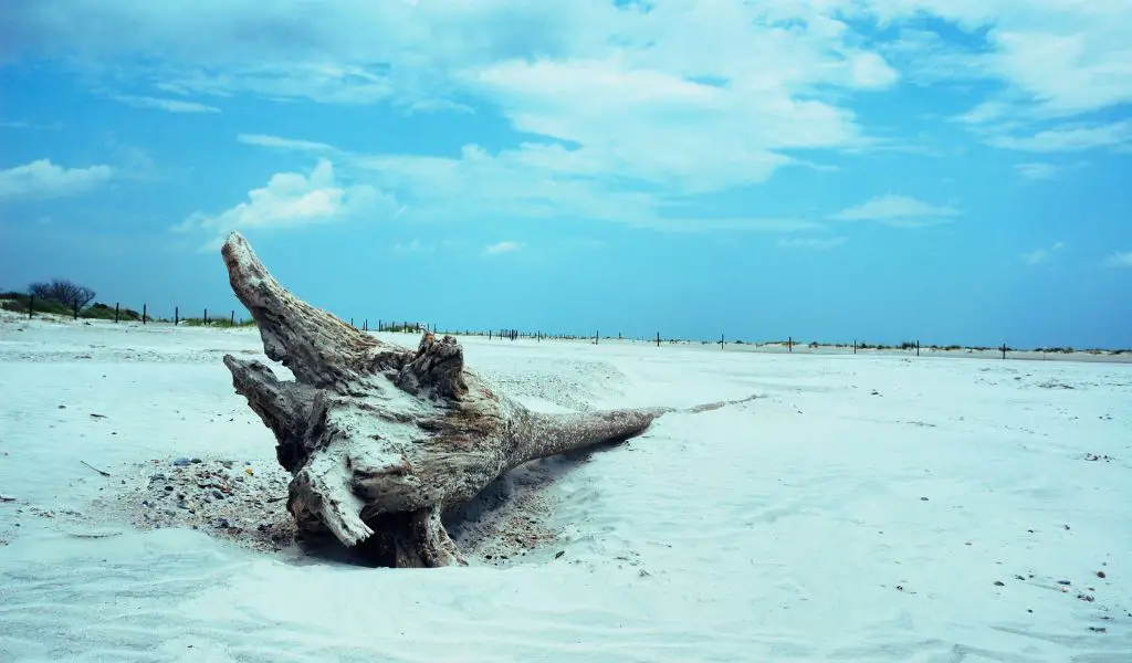 Amelia Island: Florida’s Timeless Coastal Retreat