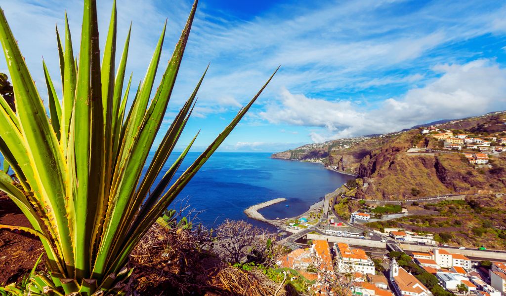 Madeira: The Floating Garden of the Atlantic