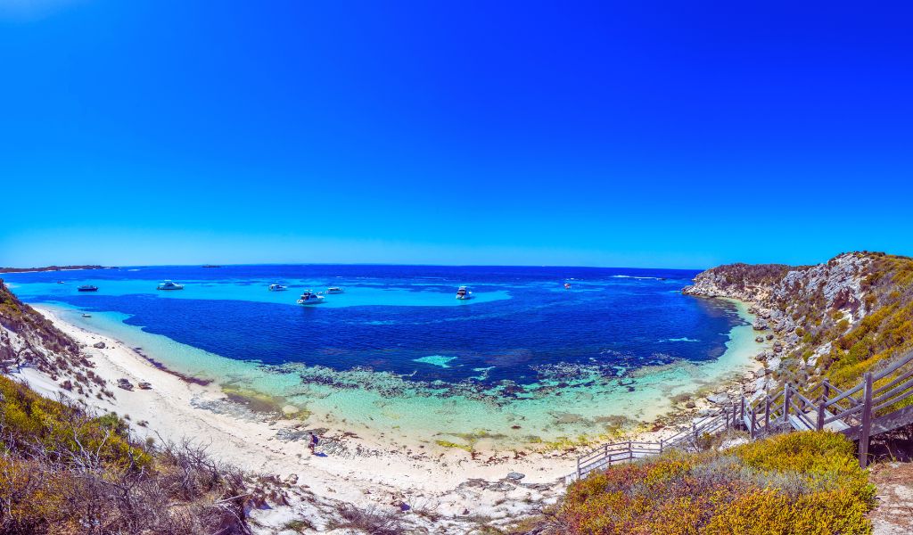 Dive into the beauty of Rottnest Island, Western Australia's idyllic getaway. Explore its beaches, wildlife, and history in this comprehensive guide.