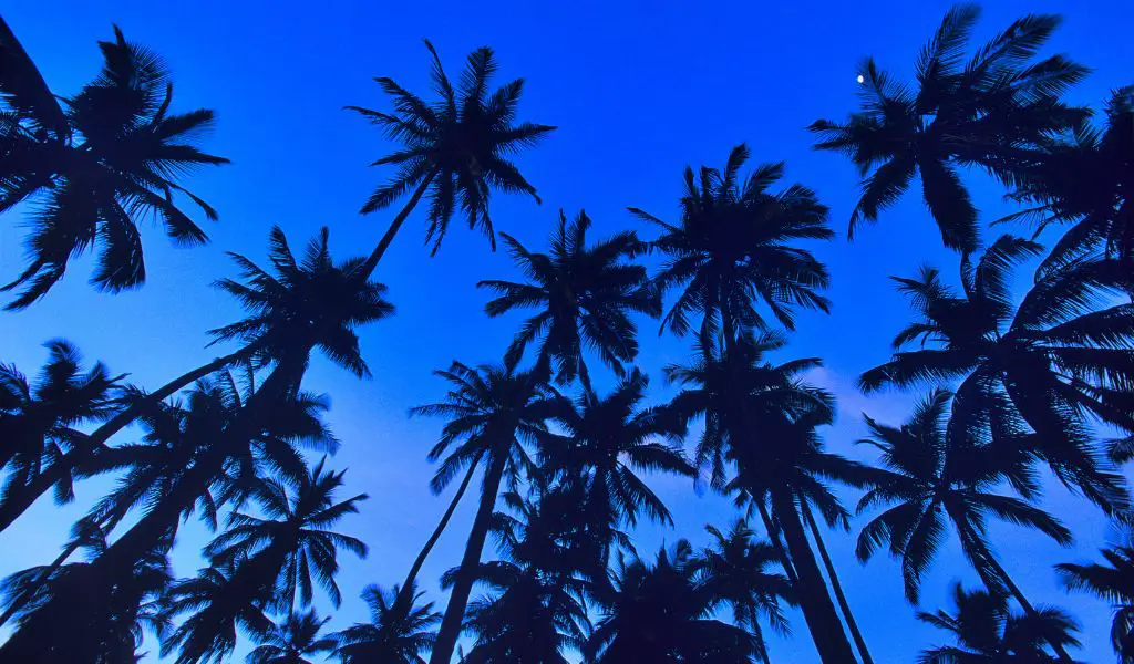 Molokai: The Authentic Hawaiian Experience
