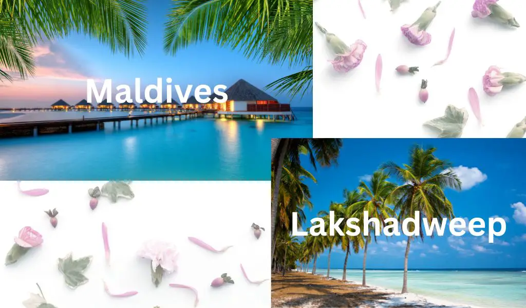maldives or Lakshadweep